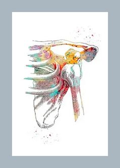 Izboljšanje mikrocirkulacije v sklepih in mišičnih tkivih